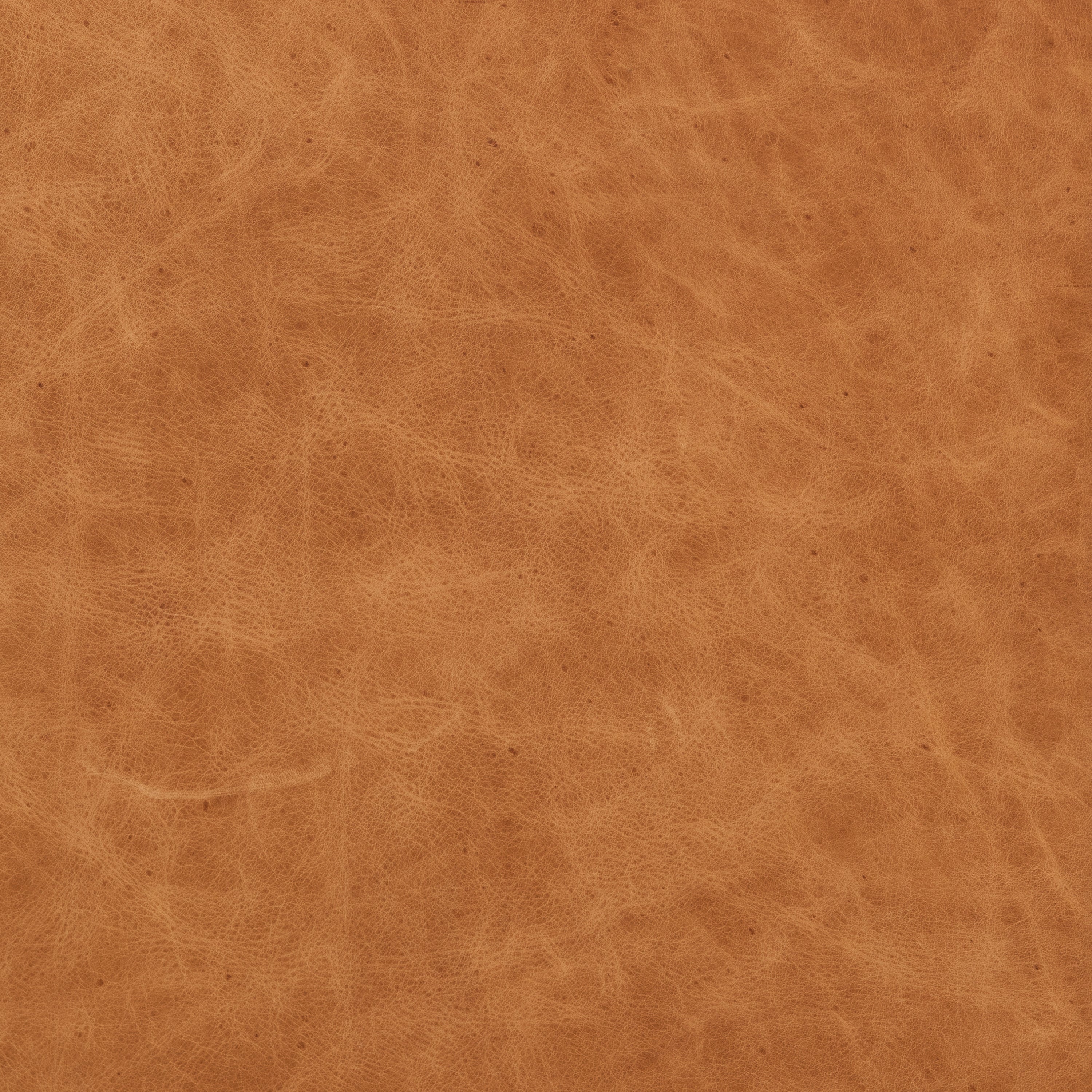 Leather Lounge Chair | Cognac Tan