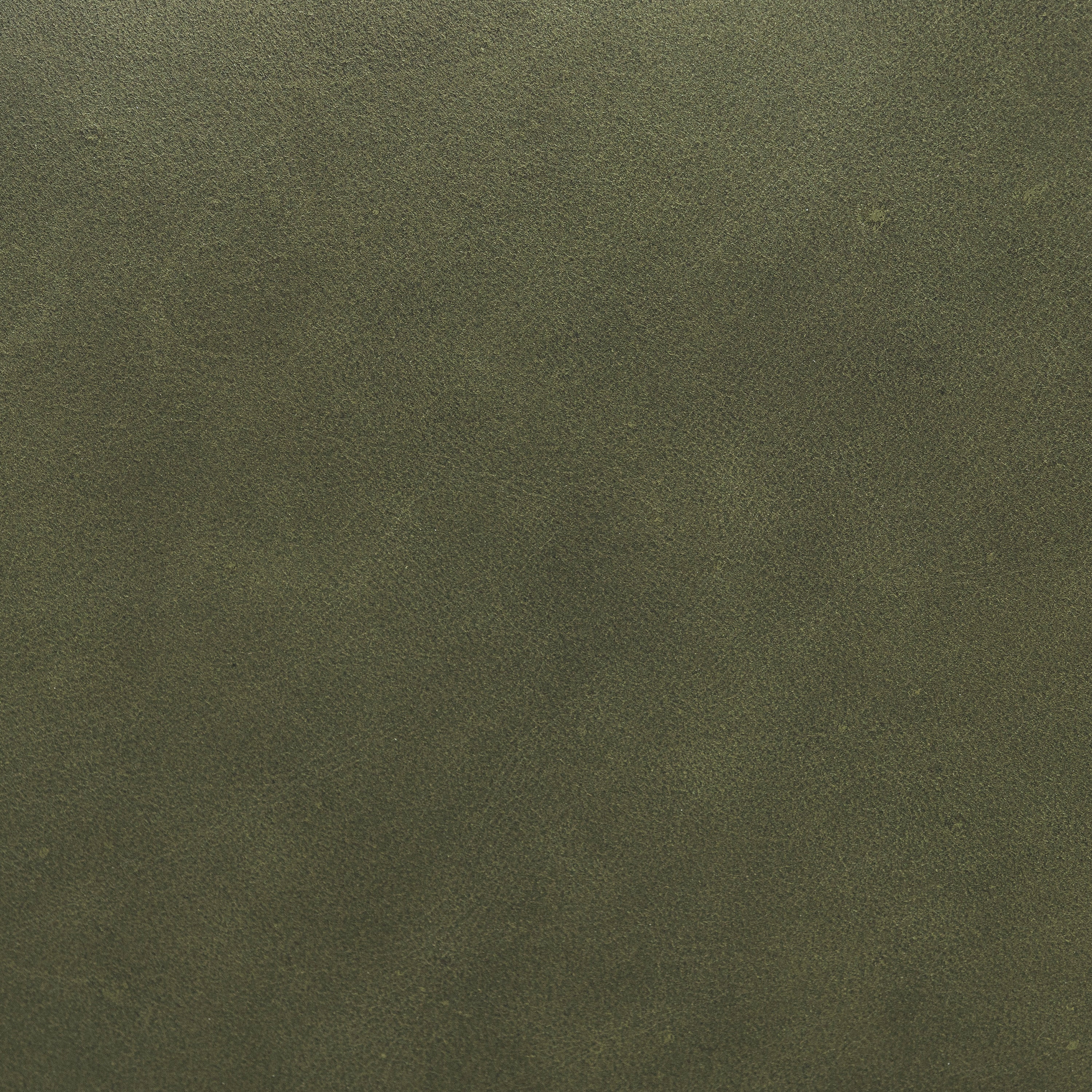 55 Leather Bench | Olivine Green